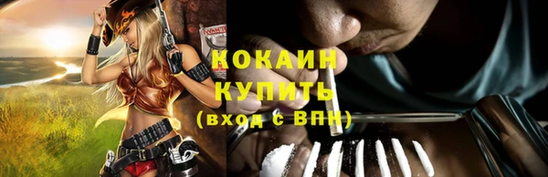 дживик Сафоново