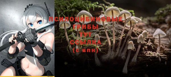 дживик Балабаново